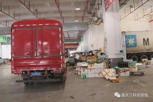 風(fēng)雨同舟，共抗疫情——三科農(nóng)商城為重慶抗疫加油，與大家共渡難關(guān)