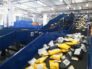 東莞制造乘跨境電商東風(fēng)，貨物進(jìn)出口實(shí)現(xiàn)跨越式增長